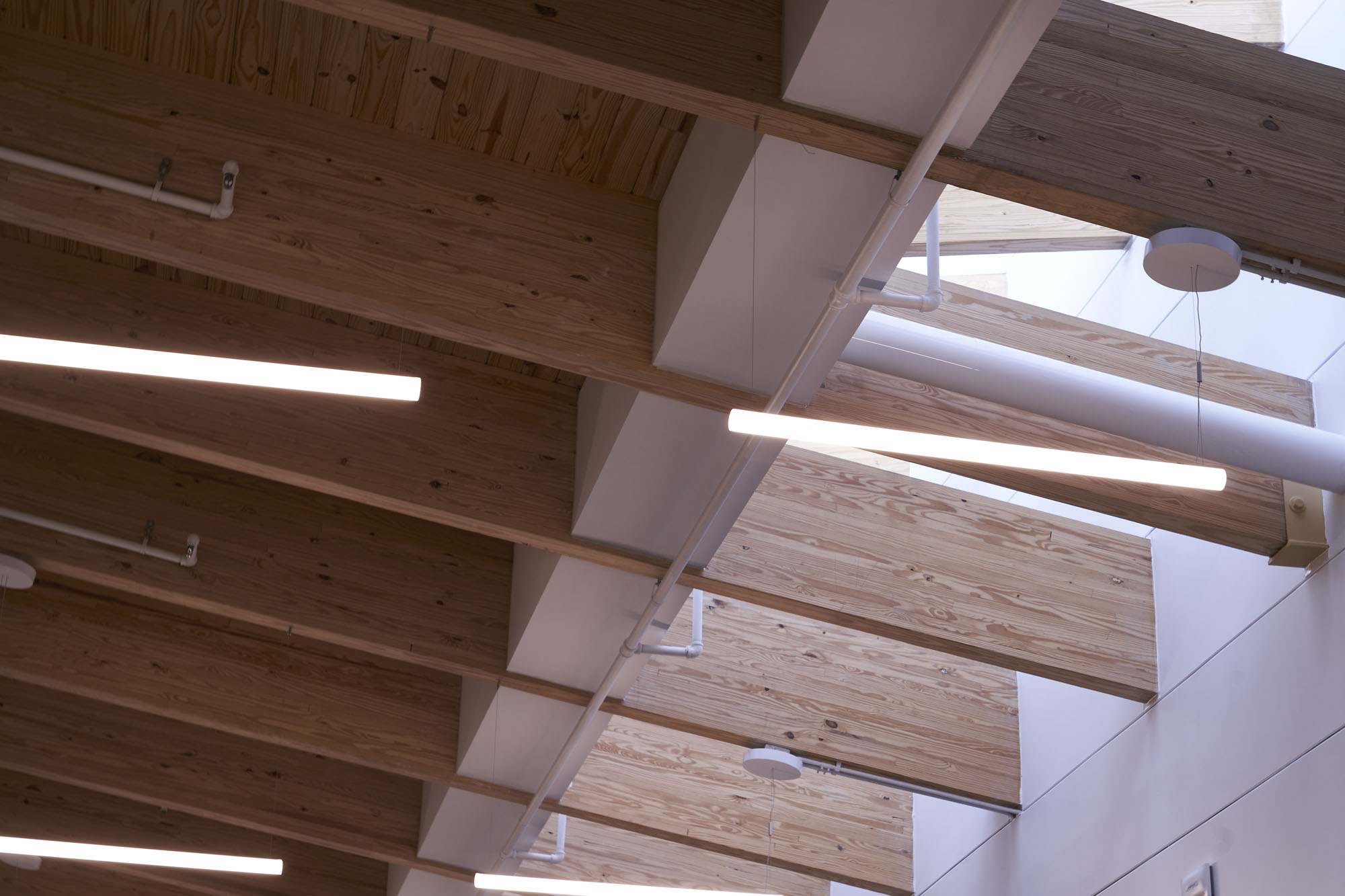 Interior profile of the Youth Villages building project in Bartlett, Tennessee, Rachel S. Lester